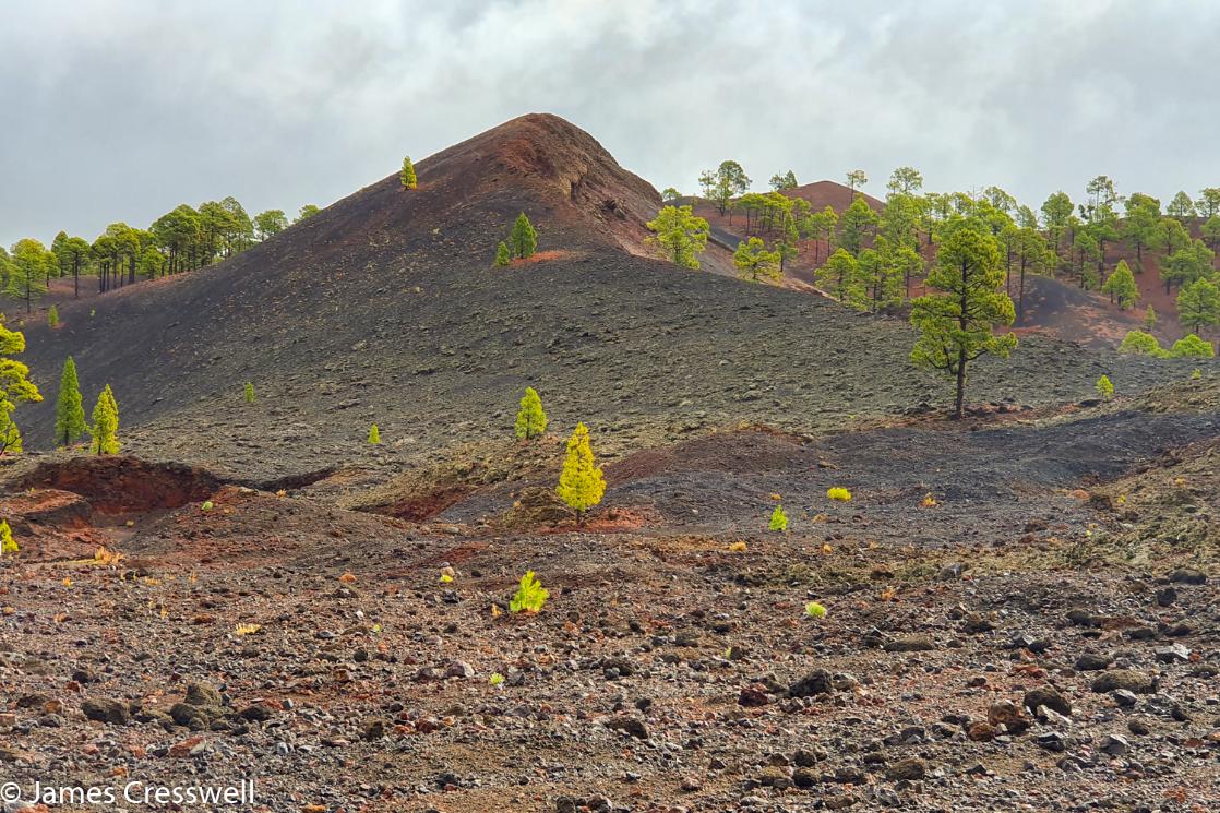 Boca Cangrejo cone which was spotted erupting by Christopher Columbus in 1492, Tenerife