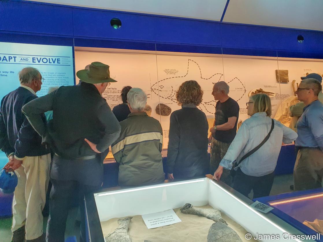A photograph of a GeoWorld Travel group receiving a guided tour at the Etches Collection