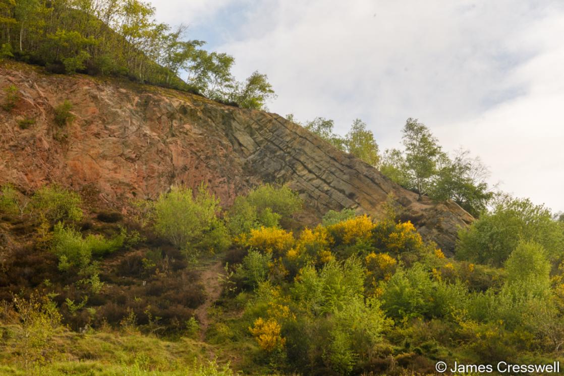 A photograph of the unconformity in the Ercall quarry, the Wrekin  taken on a GeoWorld Travel geology tour and holiday of England and Wales