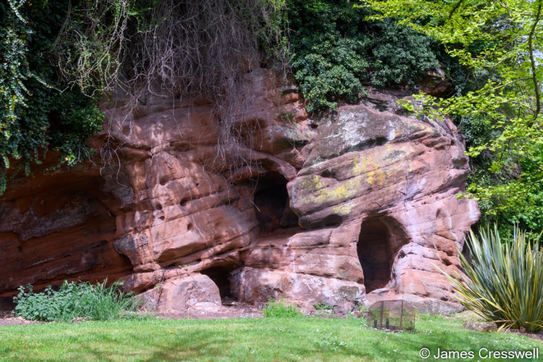 A photograph of Permain aged dune sandstones at Lavington's Hole taken on a GeoWorld Travel geology tour and holiday of England and Wales