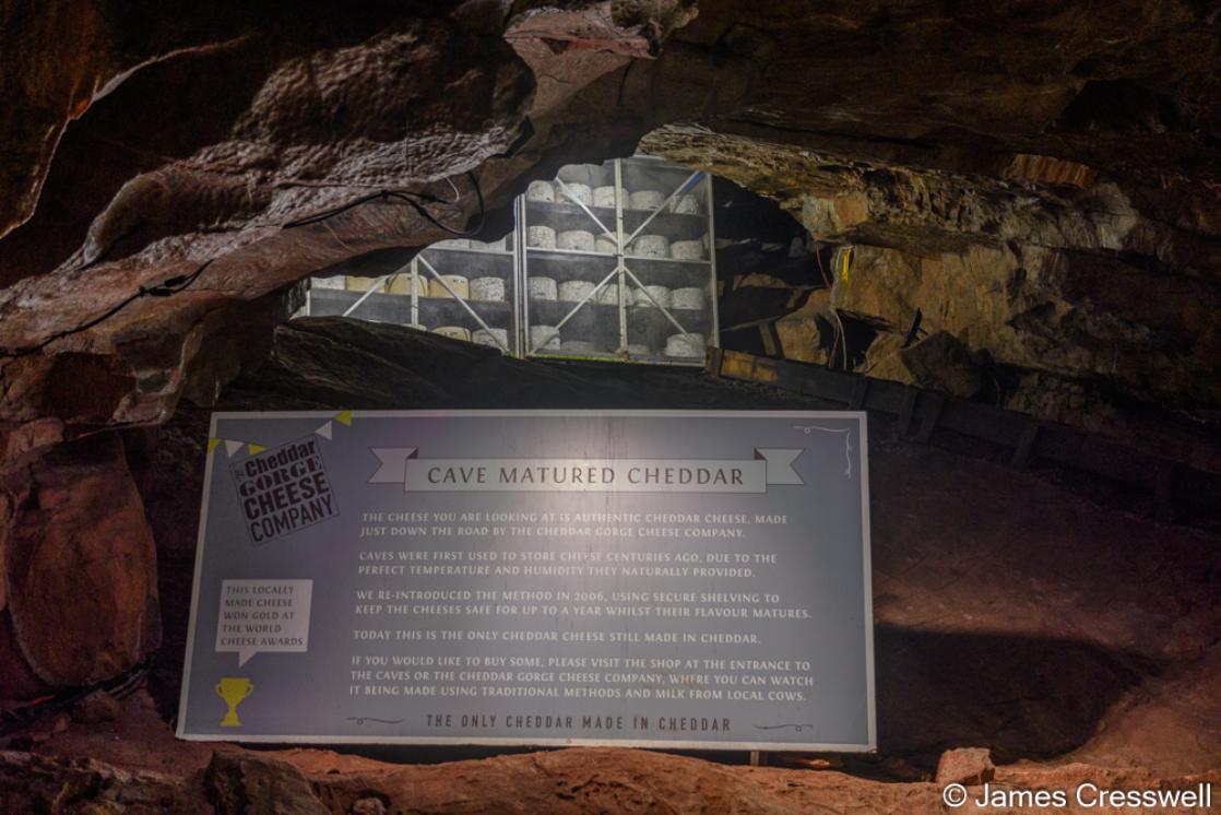 A photograph of Cheddar cheese maturing in Gough's Cave, Cheddar  taken on a GeoWorld Travel geology tour and holiday of England and Wales