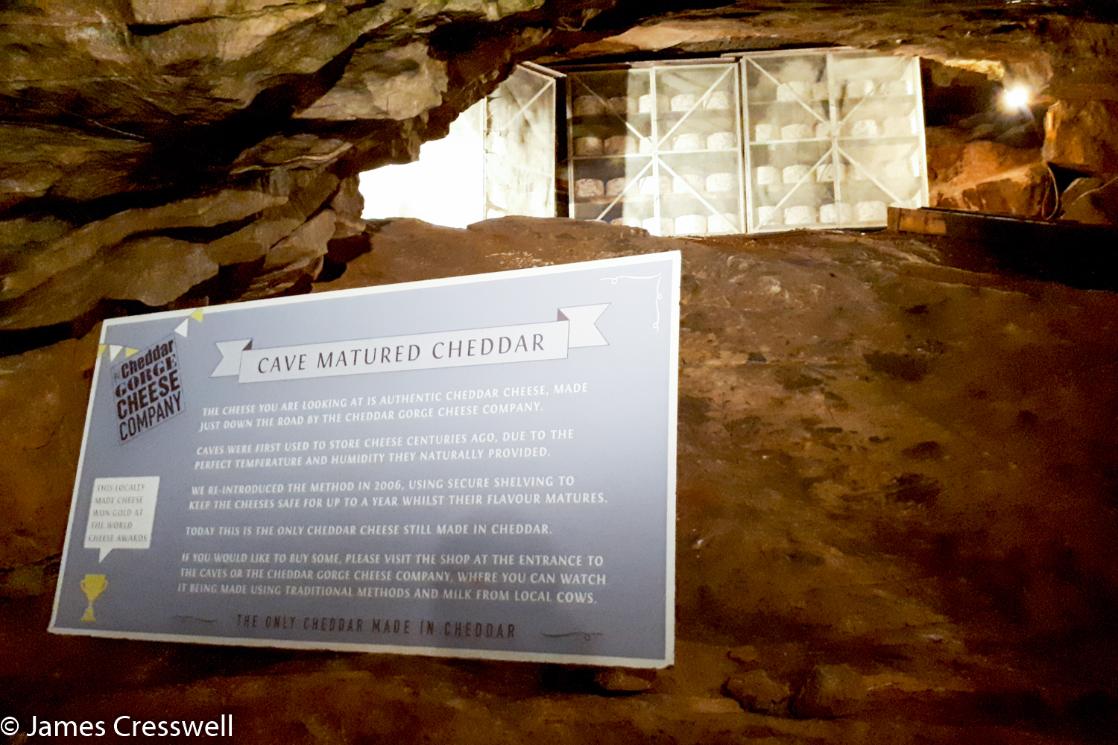 A photograph of Cheddar Cheese maturing in Gough Cave in Cheddar Gorge, taken on a GeoWorld Travel England and Wales geology tour, trip and holiday