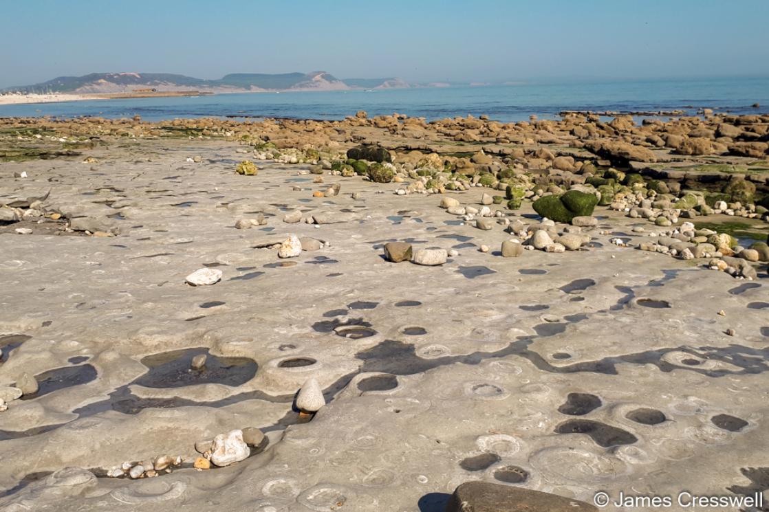 A photograph of the ammonite graveyard and a geological hammer, taken on Monmouth Beach, Lyme Regis on the GeoWorld Travel England and Wales geology trip, tour and holiday