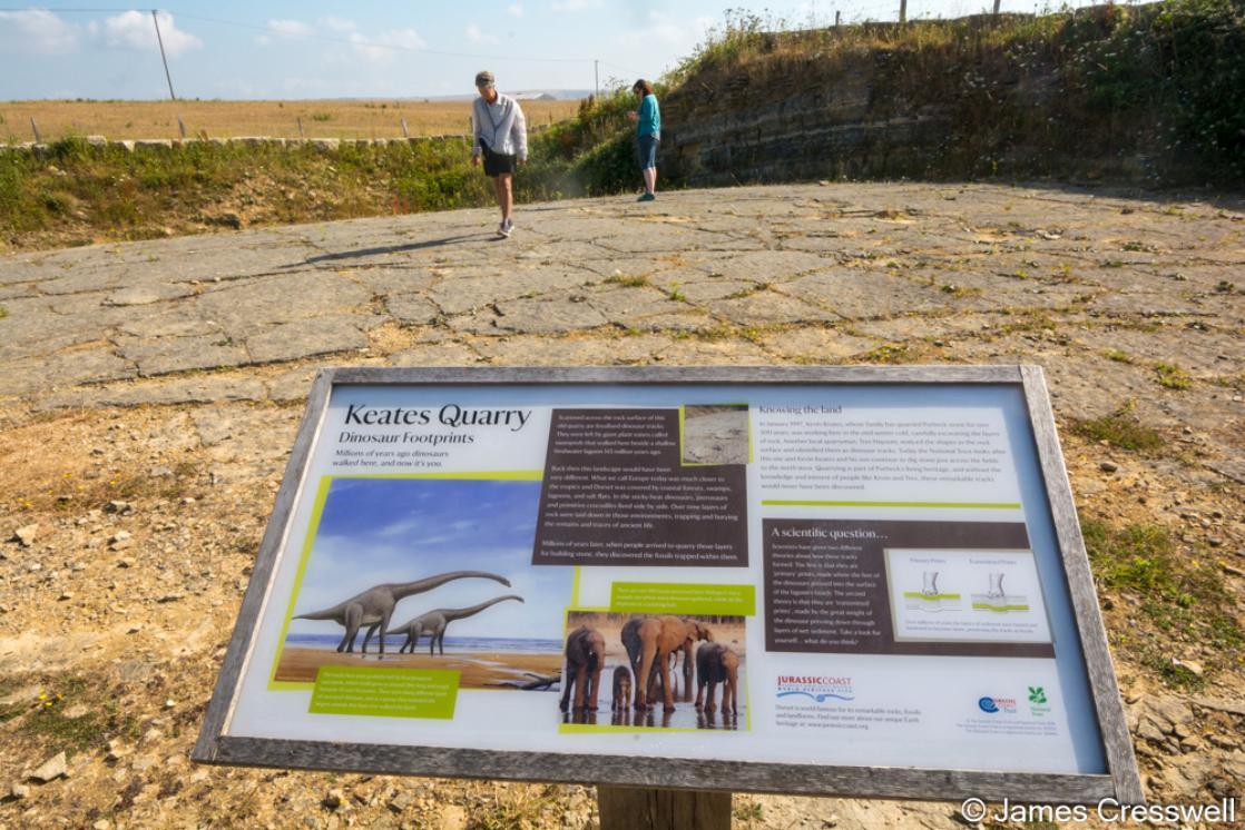 A photograph of dinosaur tracks at Keates Quarry taken on a GeoWorld Travel geology tour and holiday of England and Wales