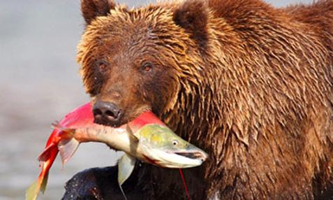 Geology tours with wildlife