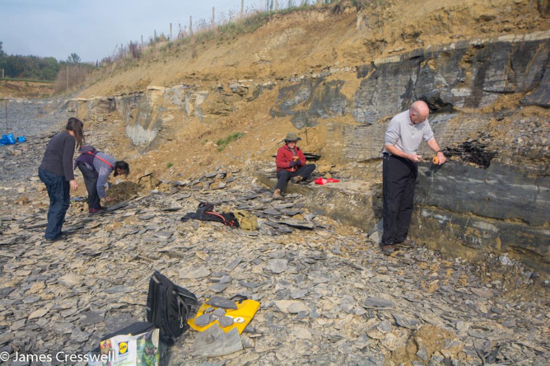 A photograph of people finding fossils at Holzmaden, Germany on a GeoWorld Travel fossil trip and fossil hunting holiday