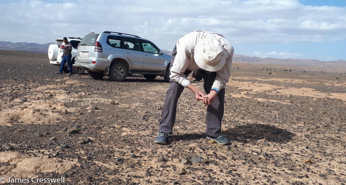 A photograph of a man looking for fossils in Morocco, on a GeoWorld Travel fossil trip and fossil hunting holiday