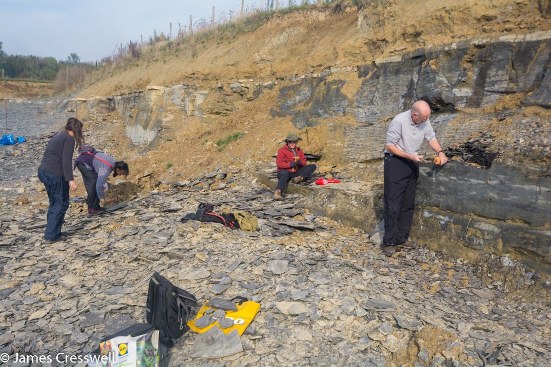 A photograph of people finding fossils in the Kromer Slate Quarry, Holzmaden, taken on a GeoWorld Travel Germany geology trip, tour and holiday