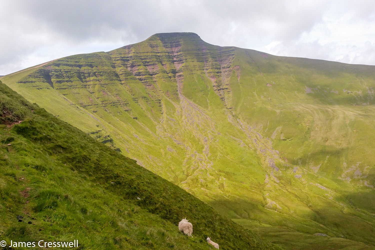 A photograph of a green mountain, Pen-y-Fan, taken on a GeoWorld Travel  Wales geology day tour