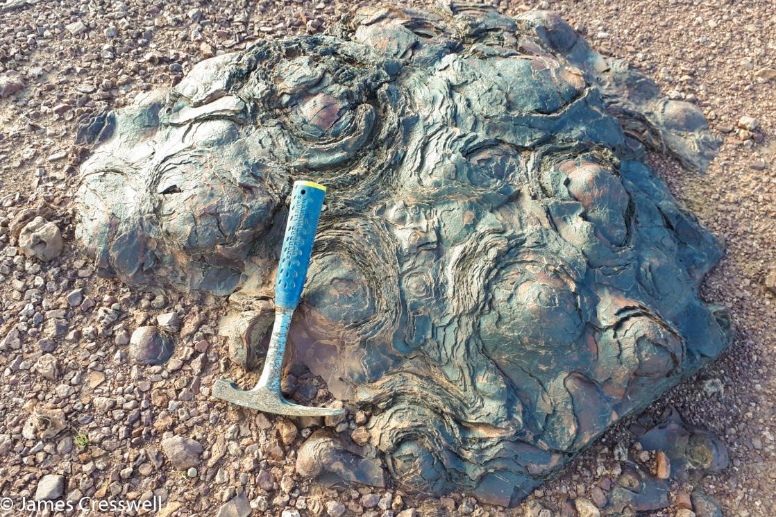 A photograph of a hammer resting on fossil stromatolites, taken on a GeoWorld Travel Morocco fossil geology trip, tour and holiday