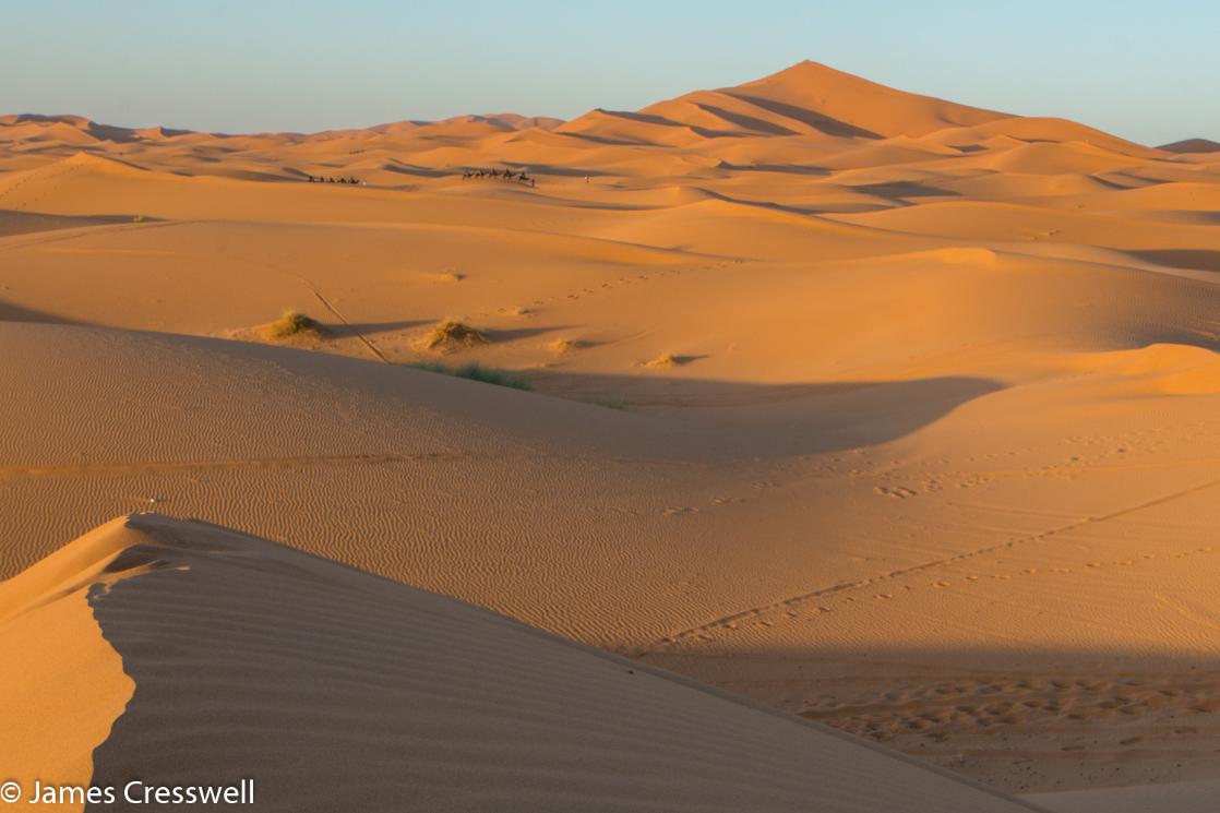 A photograph of desert sand dunes and a distant camel train, the Erg Chebbi in Merzouga, taken on a GeoWorld Travel Morocco fossil geology trip, tour and holiday