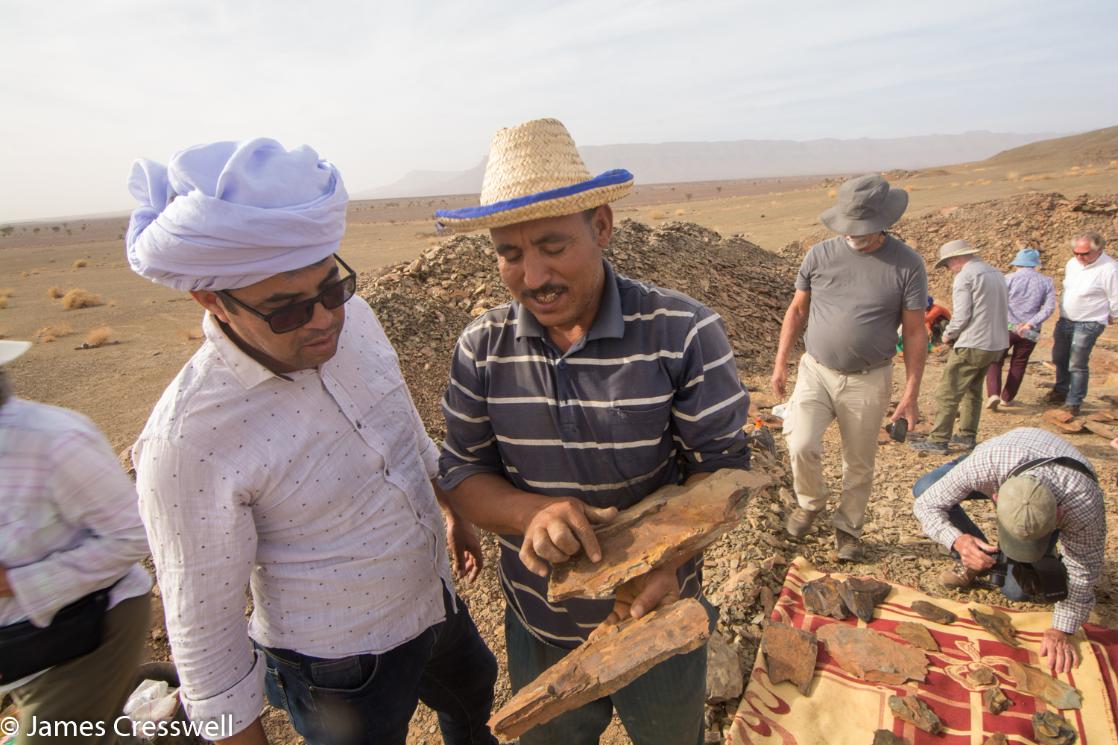 A photograph of a man showing another man a fossil anomalocarid fossil, the Fezouata Lagerstatte, taken on a GeoWorld Travel fossil geology trip, tour and holiday