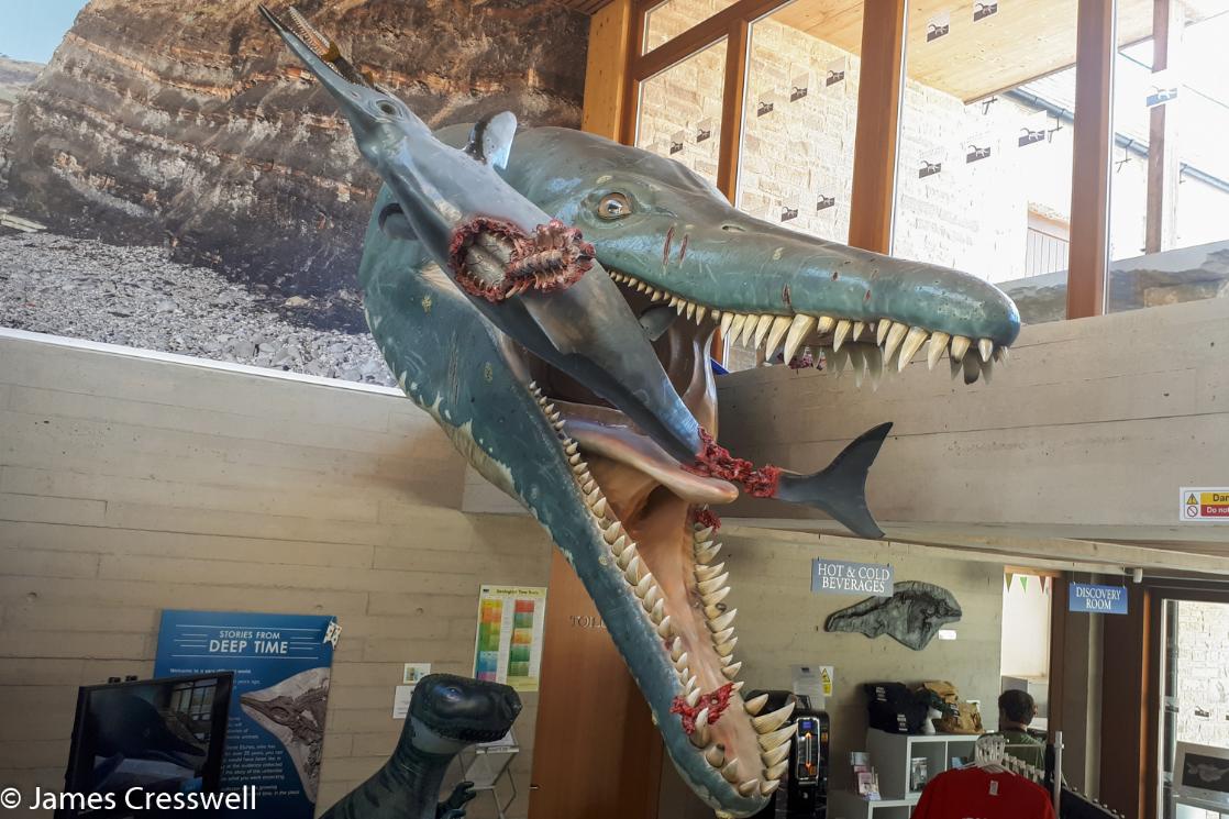 A photograph of a pliosaur model at the Etches Collection museum, taken on a GeoWorld Travel geology and museum trip, tour and holiday
