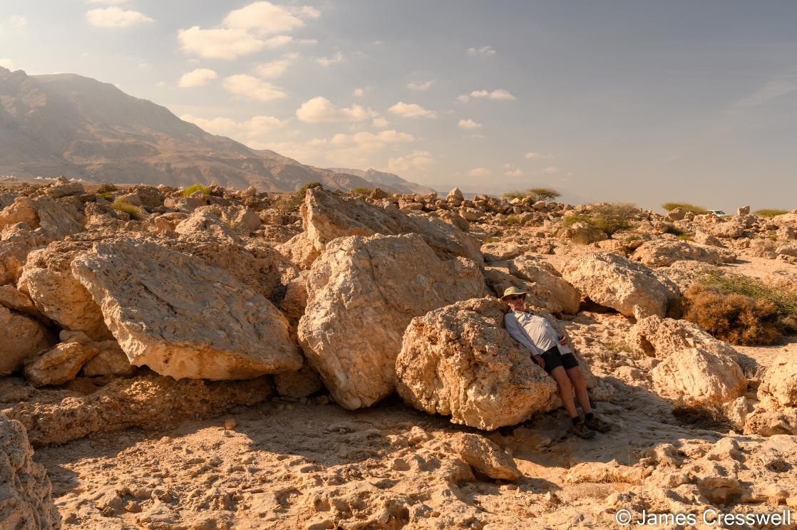 A photograph of stacked up tsunami boulders, taken on a GeoWorld Travel Oman geology trip, tour and holiday