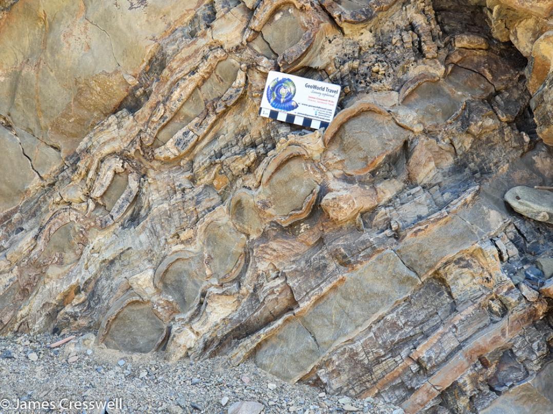 A photograph of boudin and moullion structures in marine sediments of the Hawasina nappe, taken on a GeoWorld Travel Oman geology trip, tour and holiday