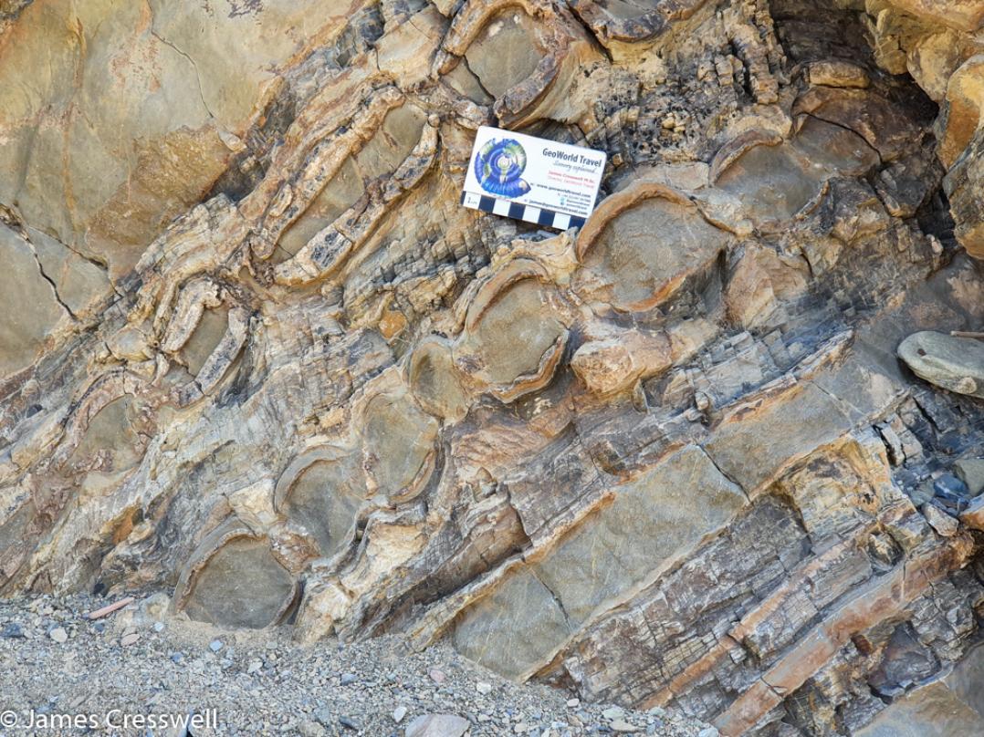 A photograph of boudin and moullion structures in marine sediments of the Hawasina nappe, taken on a GeoWorld Travel Oman geology trip, tour and holiday