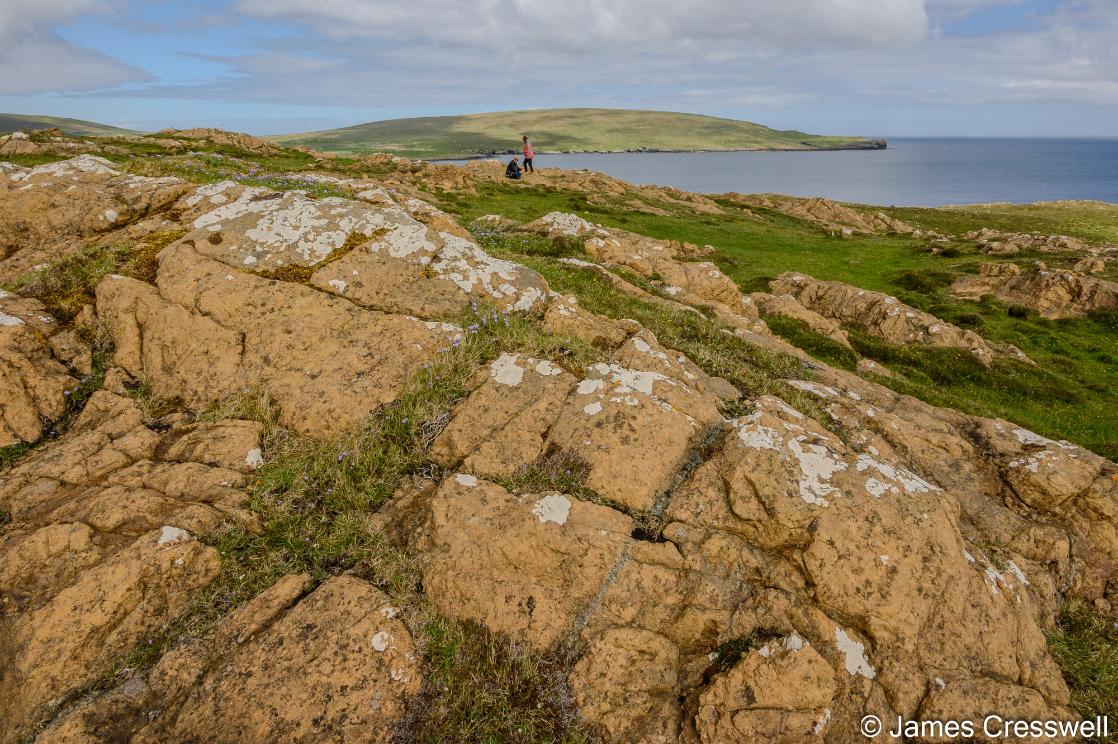 A photograph of mantle rocks of the Unst Ophiolite, Shetland