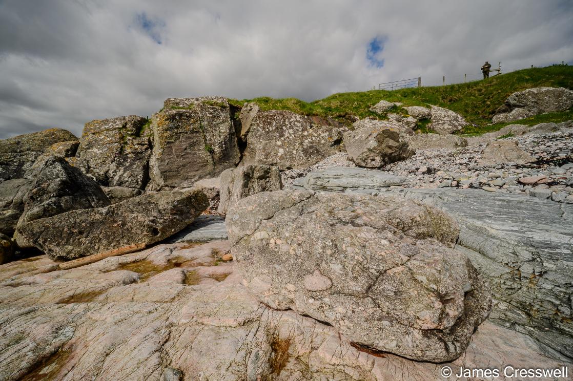 A photograph of conglomerates at Quarff in Geopark Shetland