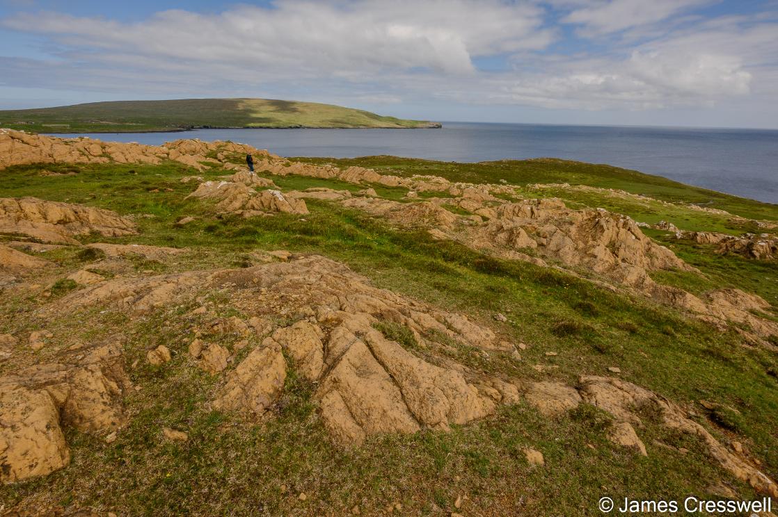 A  photograph of Mantle  Rocks of the Unst Ophiolite. 