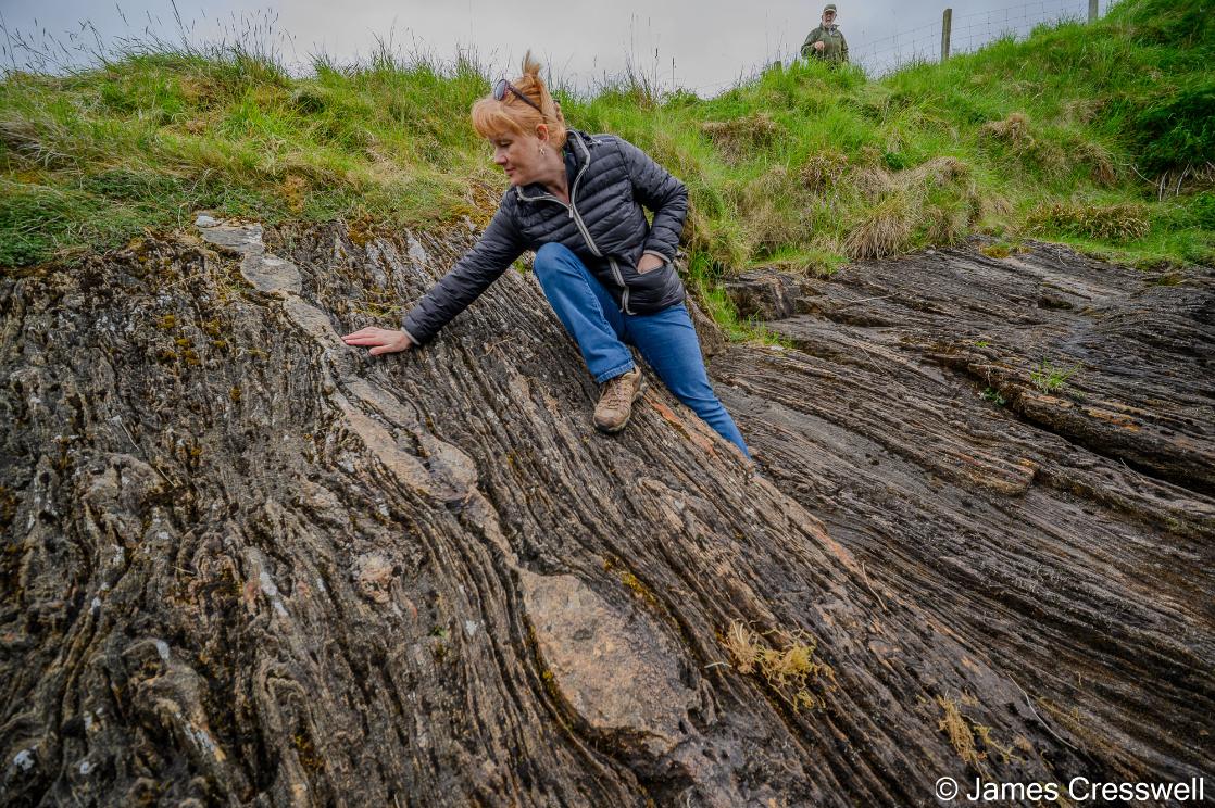 A photograph of boudinage at Kirkhouse, Voe, Shetland