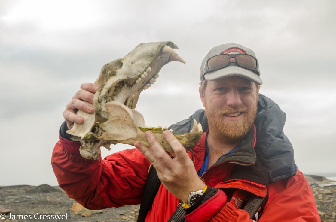 A photograph of James Cresswell with a polar bear skull in Svalbard