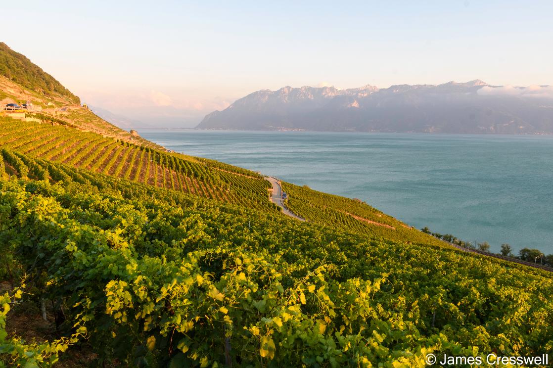 A photo of Lavaux Vineyard Terraces UNESCO World Heritage Site