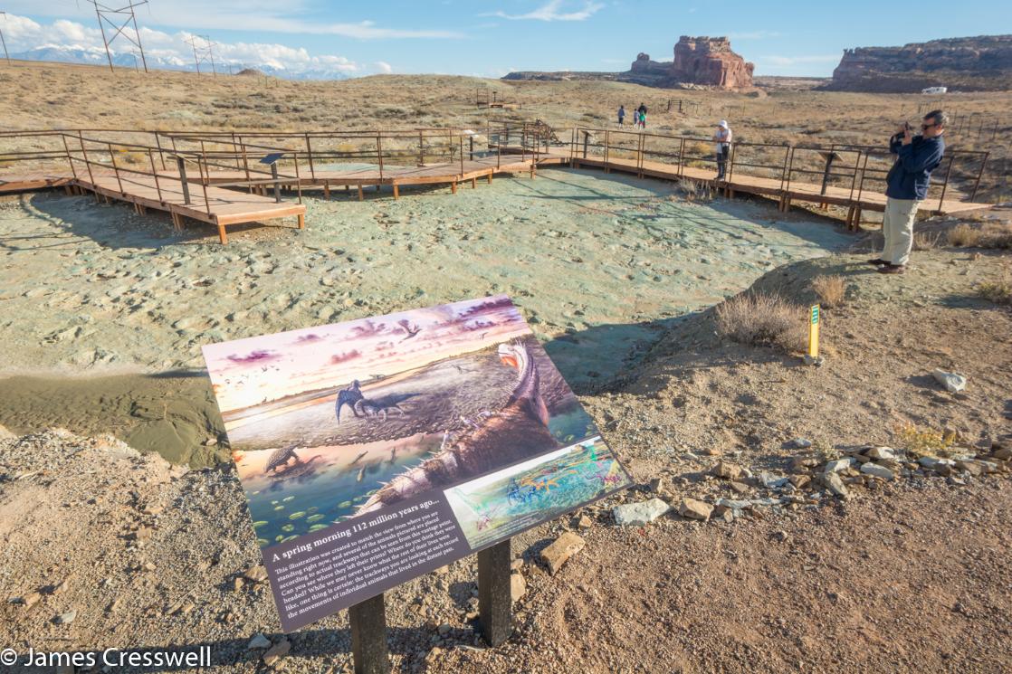 A photograph of the Mill Canyon dinosaur trackways, taken on a GeoWorld Travel USA geology trip, tour and holiday