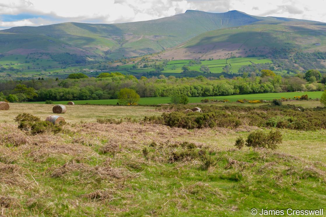 A photograph of the Brecon Beacons taken from Mynydd Illtud
