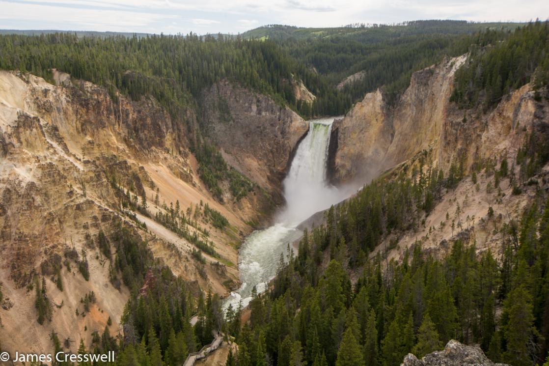 A photograph of the Lower Yellowstone Falls in Yellowstone National Park, USA, taken on a GeoWorld Travel waterfall trip, tour and holiday